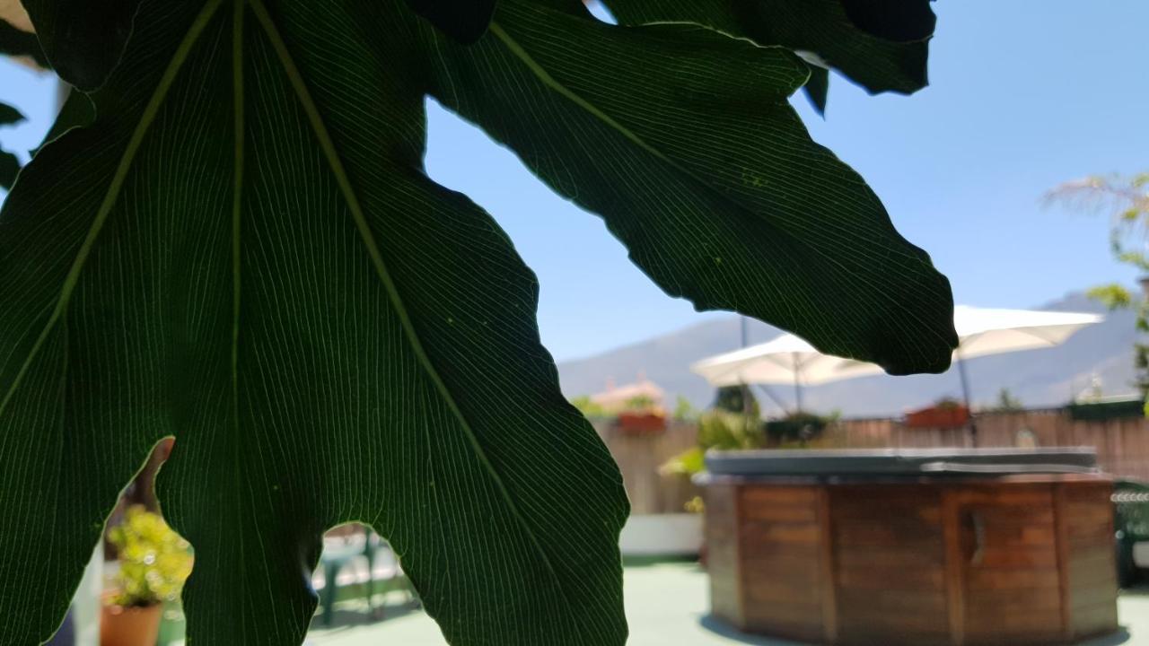 Posada Alpujarra Sol Orgiva Exterior photo